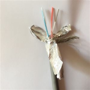 RS485-22铠装通讯电缆